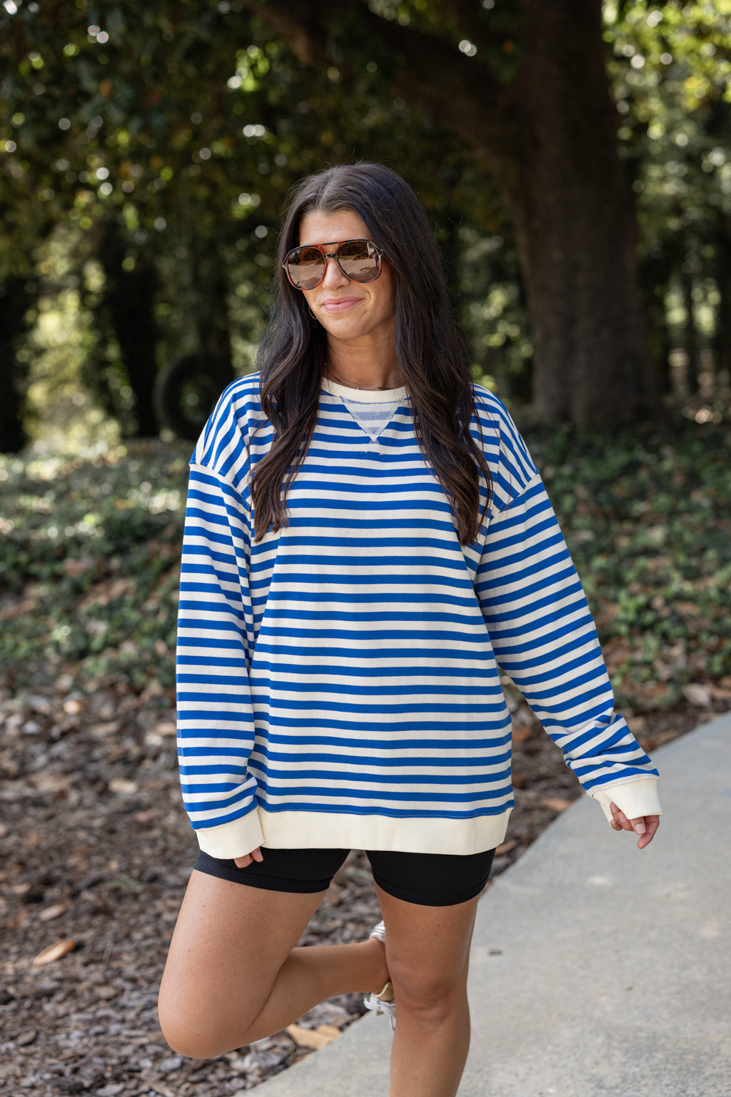 blue stripe crew neck pullover